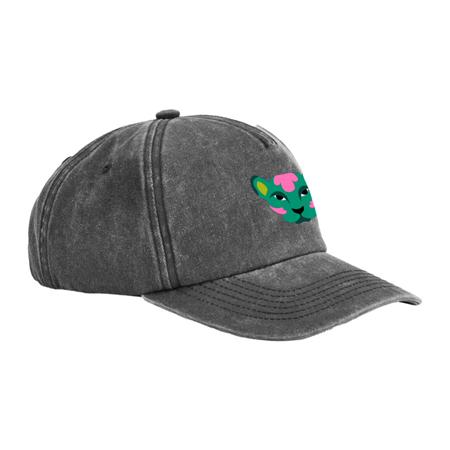Casquette Vintage PDB 2025